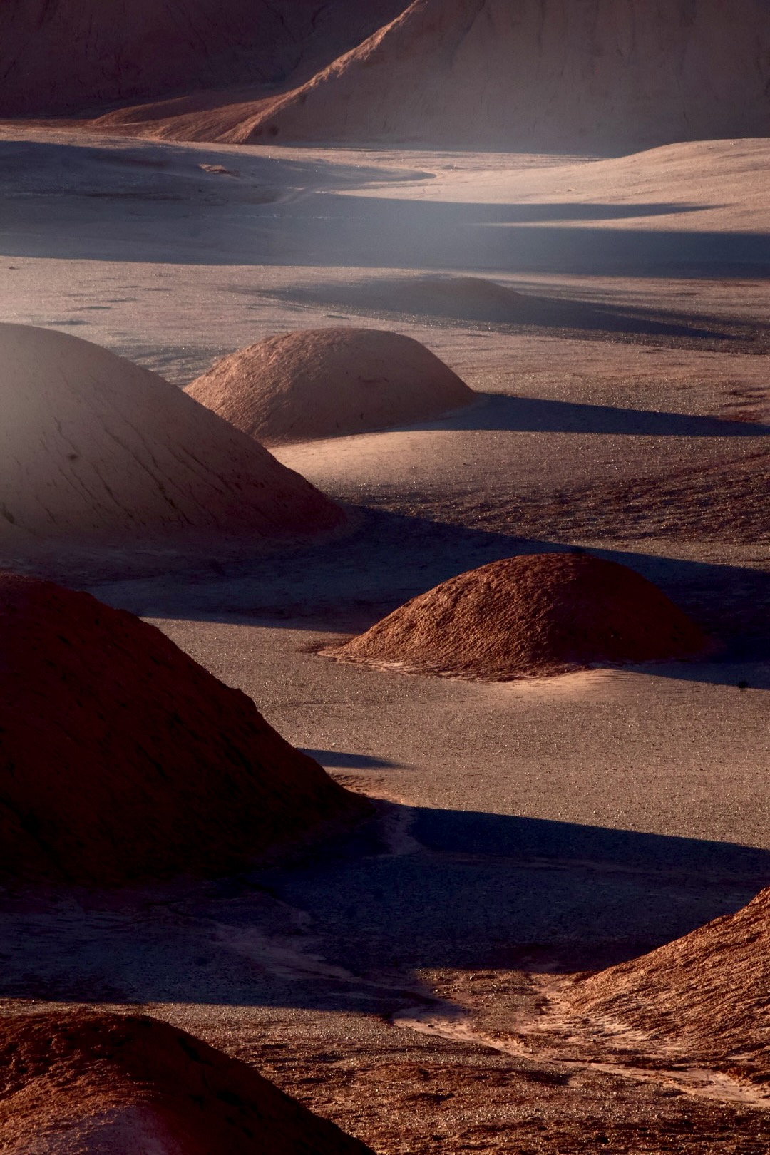 Puna Landscapes - Geometries and Cartographies